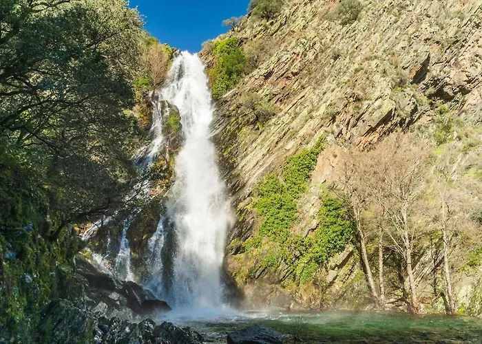 Turisticos Cardelemin